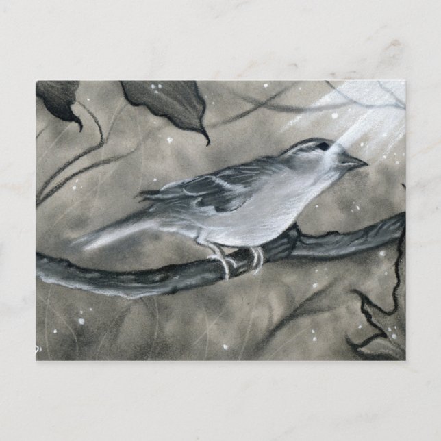 Cartão Postal Cartão-postal claro de árvore de pássaros encantad (Frente)