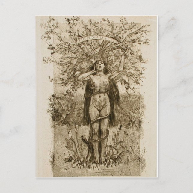 Cartão Postal Cartão-postal clássico (Frente)