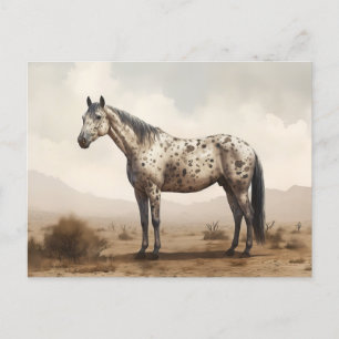 Cartão Postal Cartão-postal clássico de cavalos Appaloosa americ