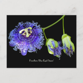 Cartão Postal Cartão-postal Coletivo de Flor Roxo
