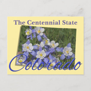 Cartão Postal Cartão-postal - COLORADO