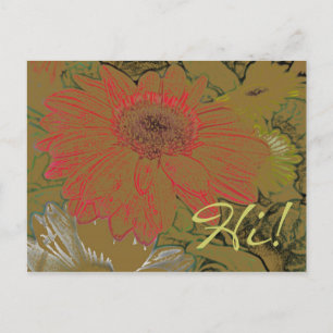 Cartão Postal Cartão-postal Coloridas Margaridas Africanas Olá!