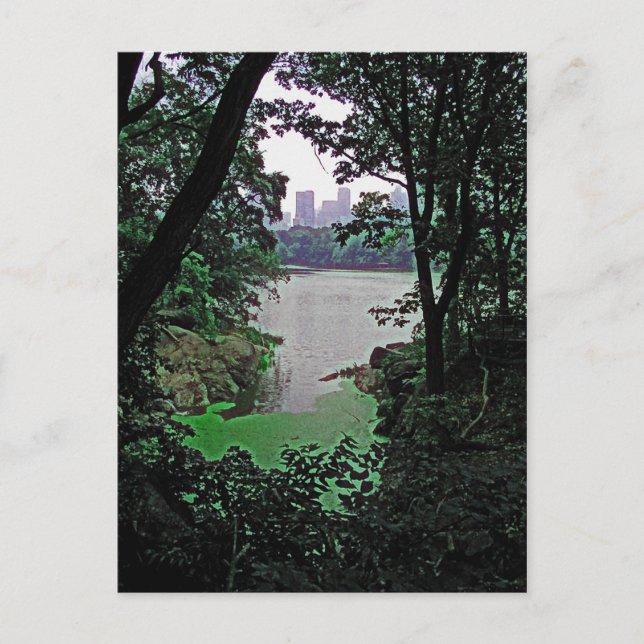 Cartão Postal Cartão-postal colorido do Ramble-Central Park (Frente)