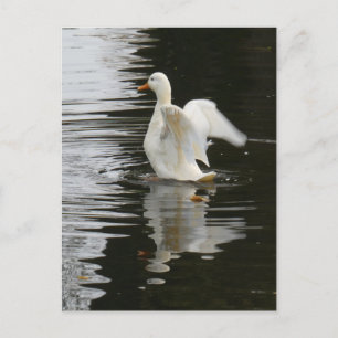 Cartão Postal Cartão-postal com Ascensão Cachorro de Pato de Pat