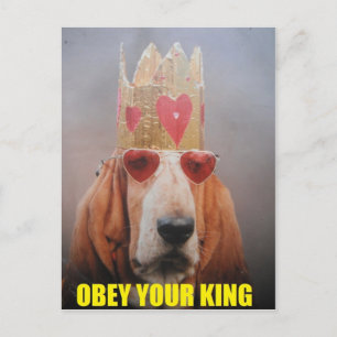 Cartão Postal Cartão-postal com Basset Hound King