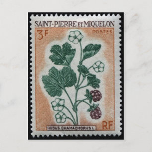 Cartão Postal Cartão-postal com carimbo gravado na Vintage