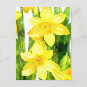 Cartão Postal Cartão-postal com Daffodils em aquarela
