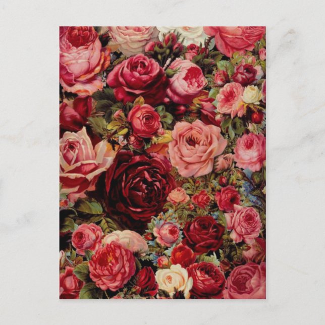 Cartão Postal Cartão-postal com gráfico de safra (Frente)