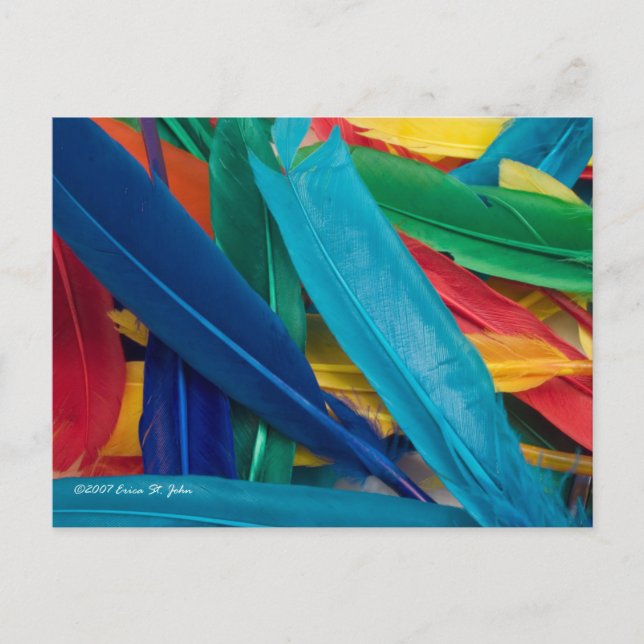 Cartão Postal Cartão-postal com pena (Frente)