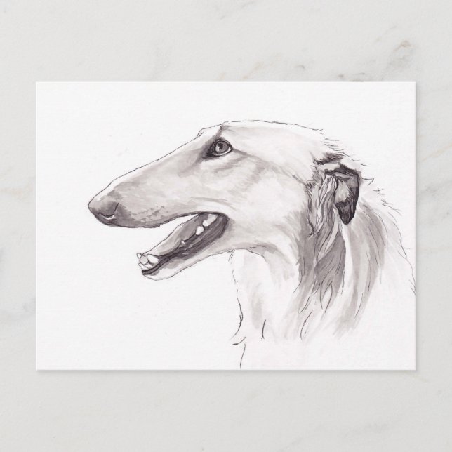Cartão Postal Cartão-postal com Perfil de Arte Canina Borzoi (Frente)