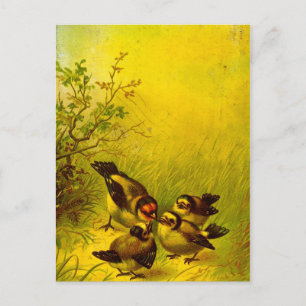 Cartão Postal Cartão-postal com Sparrows pintado por Vintage