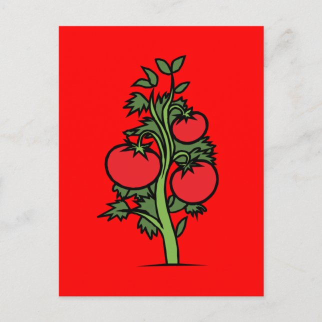 Cartão Postal Cartão-postal-Comida/Bebida-24 (Frente)