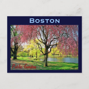 Cartão Postal Cartão-postal comum de Boston - personalizado