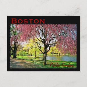 Cartão Postal Cartão-postal comum de Boston - personalizado