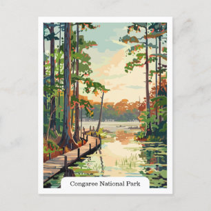 Cartão Postal Cartão-postal Congaree National Park USA