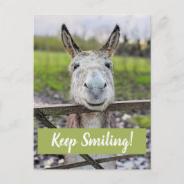Cartão Postal Cartão-postal "Continue sorrindo" de burro sorride