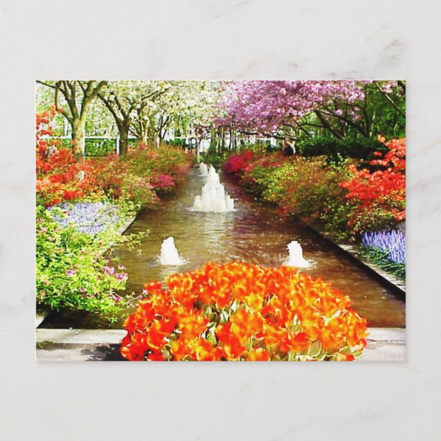 Cartão Postal Cartão-postal Cores de Vida (Frente)