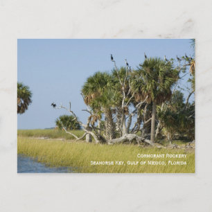 Cartão Postal Cartão-postal Cormorant Rookery