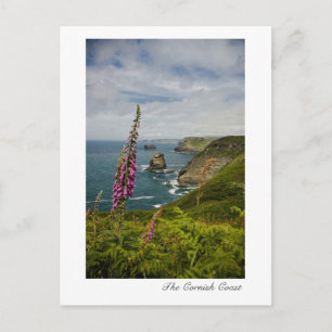 Cartão Postal Cartão-postal Cornish