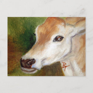 Cartão Postal Cartão-postal Cow aceo de Jersey