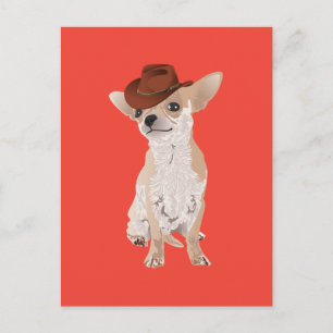 Cartão Postal Cartão-postal Cowboy Chihuahua