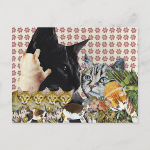 Cartão Postal Cartão-postal Creative Cats