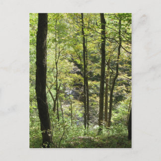 Cartão Postal Cartão-postal Creek McCormick