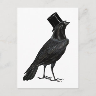 Cartão Postal Cartão-postal Crow com o Top Hat
