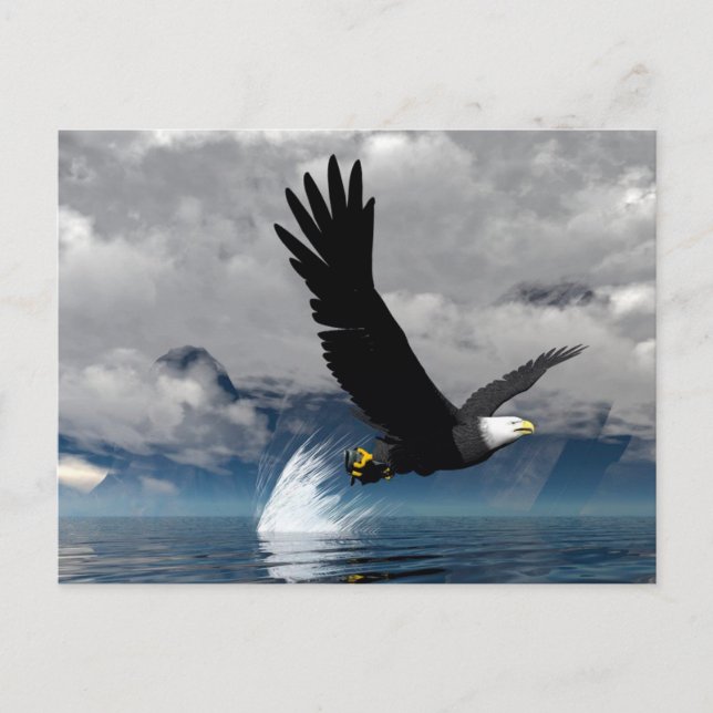 Cartão Postal Cartão-postal da Águia em alta velocidade (Frente)