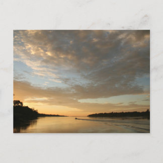 Cartão Postal Cartão-postal da Amazon Humane Society