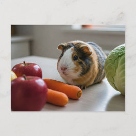 Cartão Postal Cartão-postal da Apple Carrot da Guiné Cavia