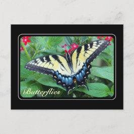 Cartão Postal Cartão-postal da borboleta Swallowtail Amarelo