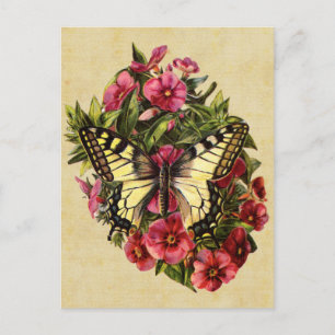 Cartão Postal Cartão-postal da Borboleta Vintage