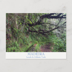 Cartão Postal Cartão-postal da Caldeirao Verde na Madeira com te