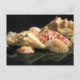 Cartão Postal Cartão-postal da coleção Summer Seashell
