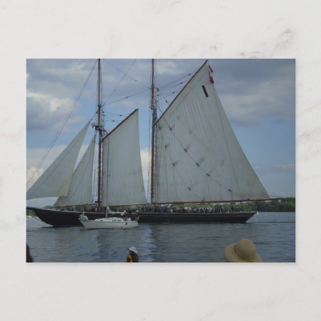 Cartão Postal Cartão-postal da Corrida de Tall-Ship Schooner Blu (Frente)