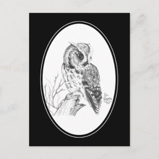 Cartão Postal Cartão-postal da Coruja de Fecho a lápis