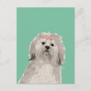 Cartão Postal Cartão-postal da Doce Lhasa Apso Girly para Cachor