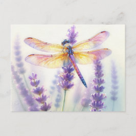 Cartão Postal Cartão-postal da Dragonfly entre Flores de Lavanda