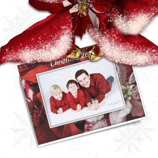 Cartão Postal Cartão-postal da Família Poinsettia de Natal Verme