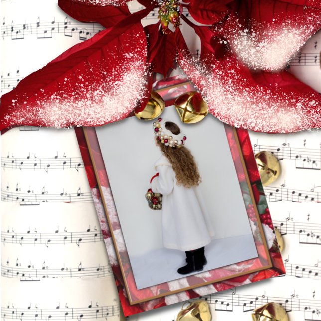 Cartão Postal Cartão-postal da Família Poinsettia de Natal Verme (Criador carregado)