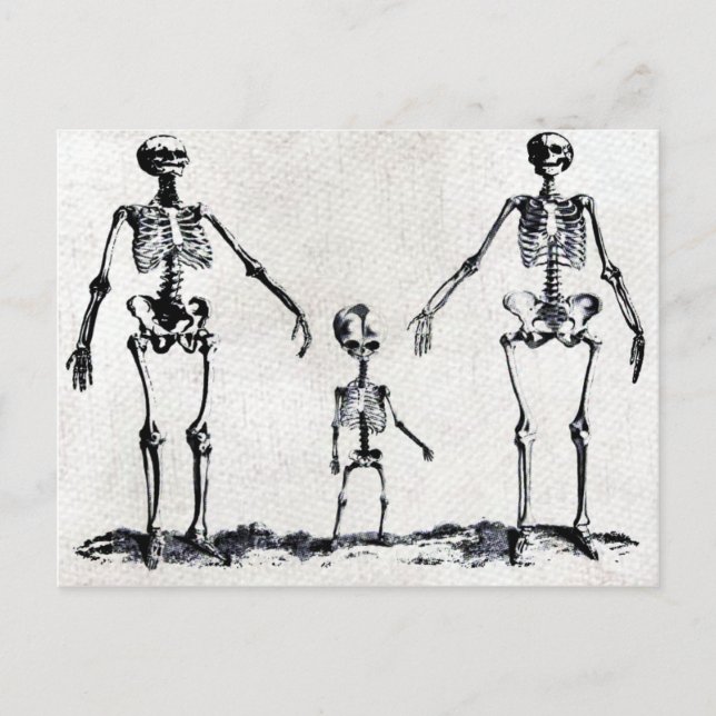 Cartão Postal Cartão-postal da família Skeleton (Frente)