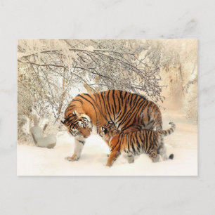 Cartão Postal Cartão-postal da família Tiger na paisagem do inve