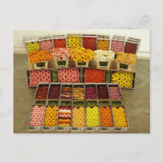 Cartão Postal Cartão-postal da flor 86