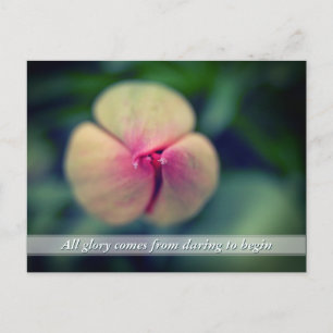 Cartão Postal Cartão-postal da Flor Primavera Tulip do Novo Com