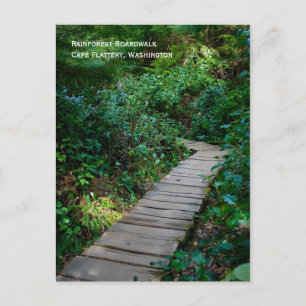 Cartão Postal Cartão-postal da Floresta Tropical
