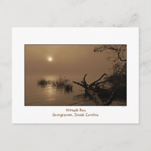 Cartão Postal Cartão-postal da Foggy Bay Morning