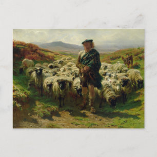 Cartão Postal Cartão-postal da Highland Shepherd por Rosa Bonheu