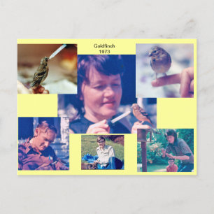 Cartão Postal Cartão-postal da História Goldfinch de 1973