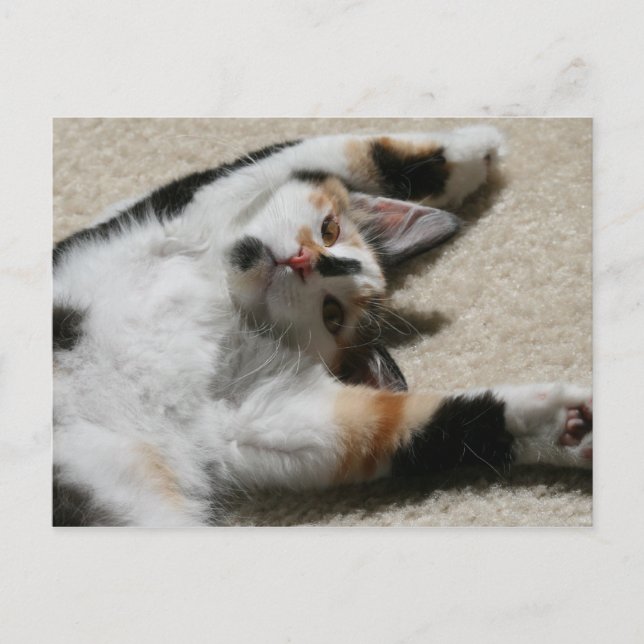 Cartão Postal Cartão-postal da Hope (Frente)